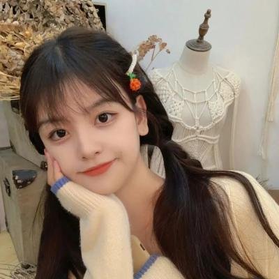 玩具熊的五夜后宫